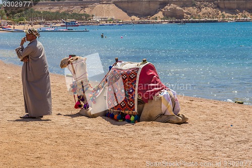 Image of Camel with a drover on the beach