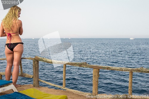 Image of Beach landscape