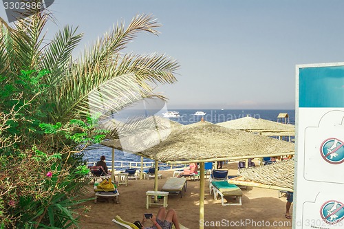 Image of Beach landscape