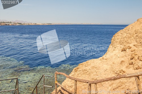 Image of Red Sea coastal coral reef