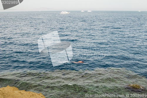 Image of Egypt. Snork Linguists examine coral reef