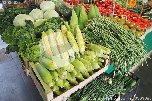 Image of Maize