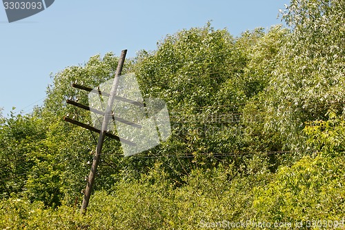 Image of Old rickety wooden telegraph pole