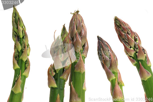 Image of asparagus vegetable