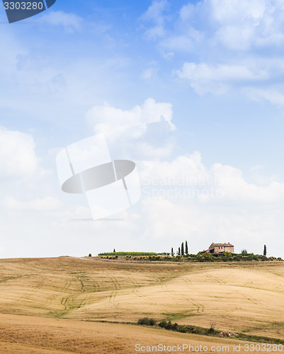 Image of Countryside in Tuscany