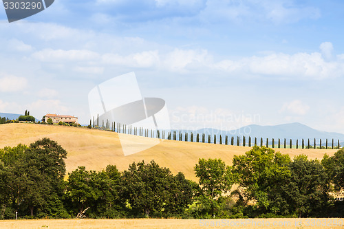 Image of Countryside in Tuscany