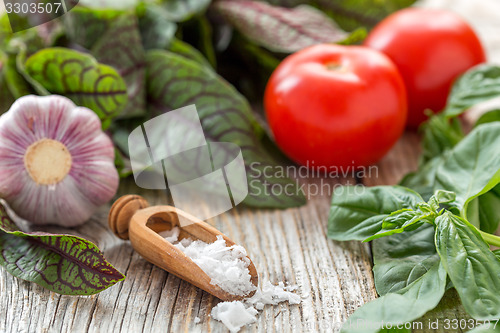 Image of Salt, herbs, tomatoes and garlic.