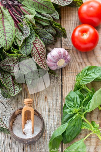 Image of Tomatoes, garlic, sorrel and basil.