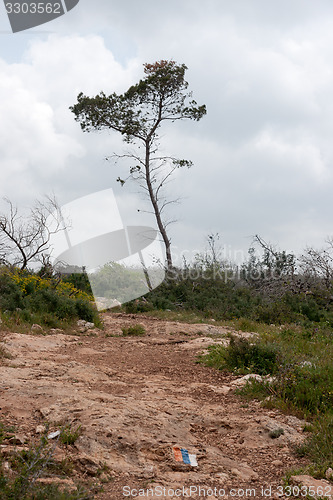 Image of Spring season landscape