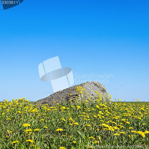 Image of Dandelions and stone on skyline