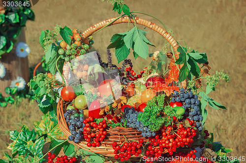 Image of Harvest vegetables, fruits, berries sold at the fair