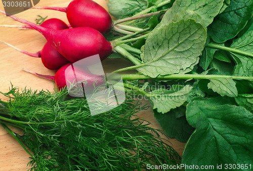 Image of Radishes and green dill on a cutting Board