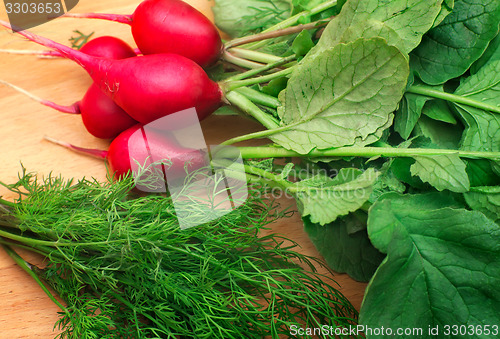 Image of Radishes and green dill on a cutting Board