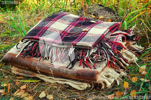 Image of Two convenient plaid relaxing in the woods for two