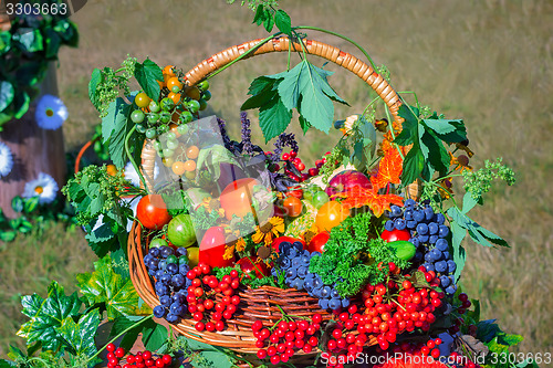 Image of Harvest vegetables, fruits, berries sold at the fair