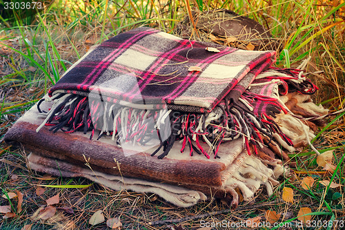 Image of Two convenient plaid relaxing in the woods for two