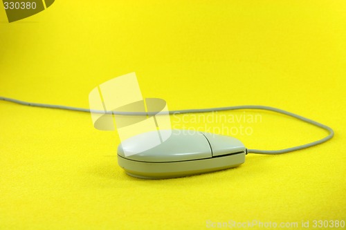 Image of mouse running