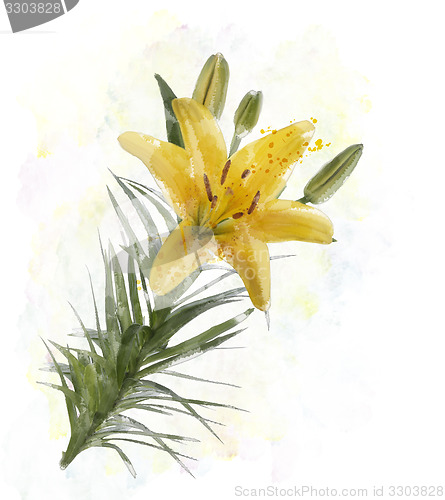 Image of Yellow Lily Watercolor