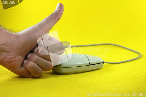 Image of mouse success