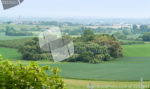 Image of Rheinhessen