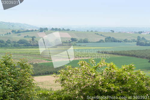 Image of Rheinhessen