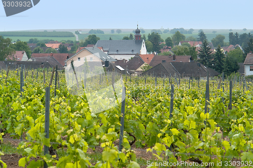 Image of Rheinhessen