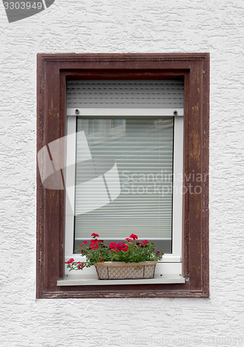 Image of window and flower pot