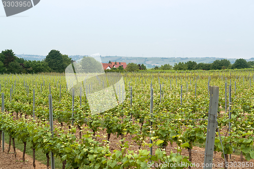 Image of Rheinhessen