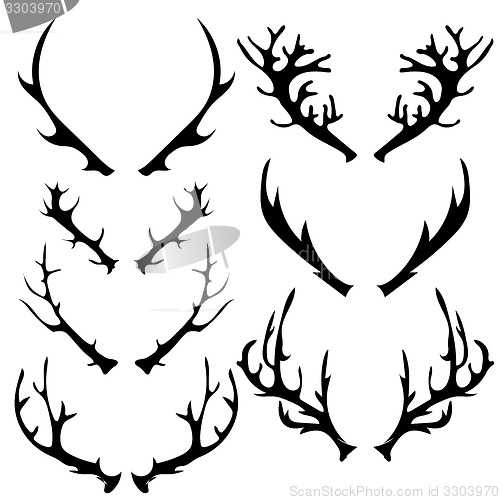 Image of Different Horns