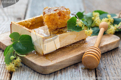 Image of Honey comb and linden flowers.