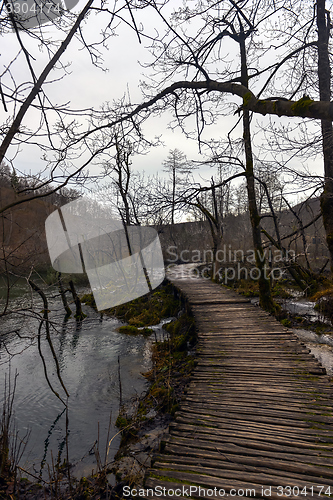 Image of Wooden path trough the lakes