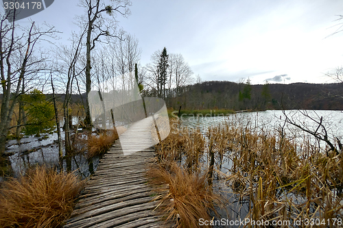 Image of Wooden path trough the lakes