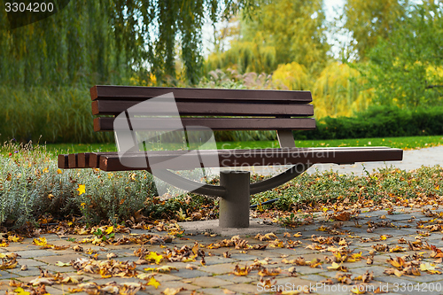 Image of Stylish bench in autumn park