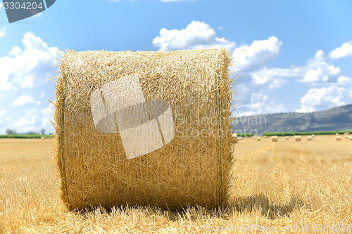 Image of Hay bails on the field