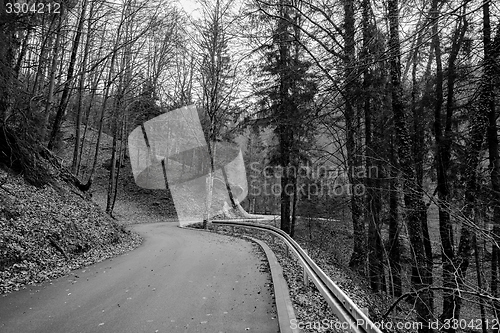 Image of Road in autumn forest landscape