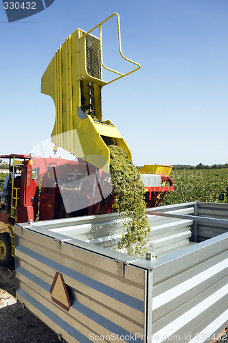 Image of Grape harvesting machinery