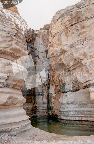 Image of Water spring in a desert