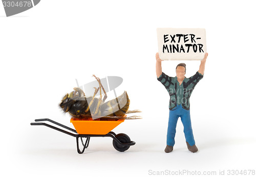 Image of Dead wasp in a miniature wheelbarrow