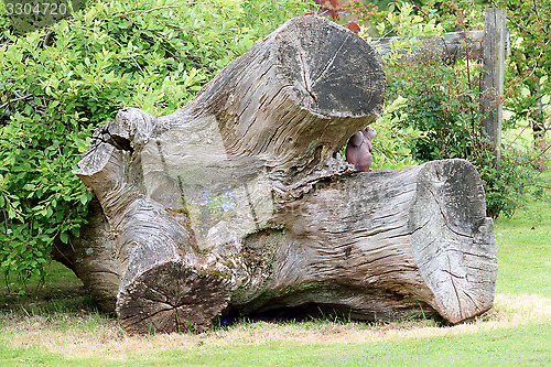 Image of Tree trunk Garden Sculpture.