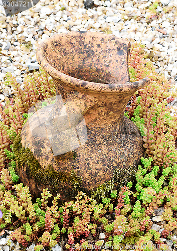 Image of Clay pot.