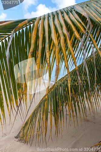 Image of Beach on tropical island. Clear blue water, sand, clouds. 