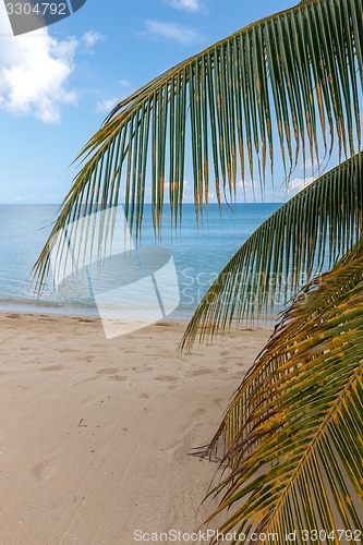 Image of Beach on tropical island. Clear blue water, sand, clouds. 