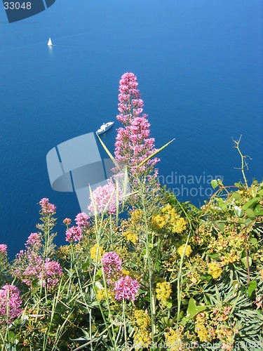 Image of capri