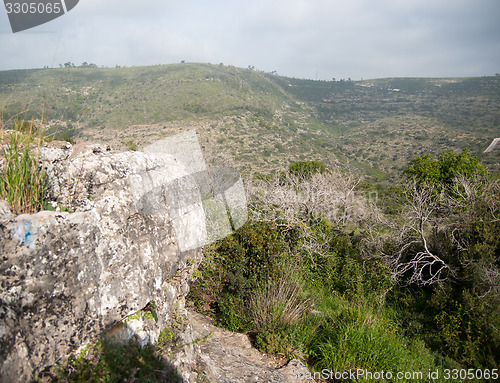 Image of Spring season landscape