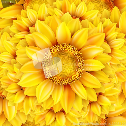 Image of Macro SunFlower Background. EPS 10