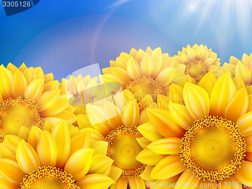 Image of Sunflowers with bright blue sky. EPS 10