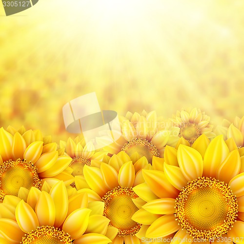 Image of Sunflower petals with summer sun. EPS 10