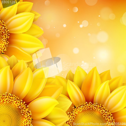 Image of Macro SunFlower Background. EPS 10