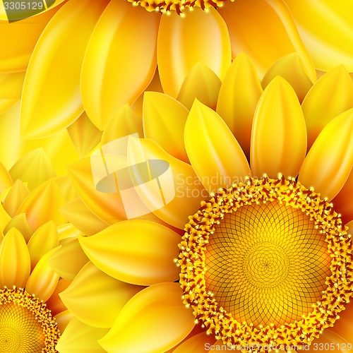 Image of Macro SunFlower Background. EPS 10