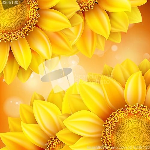 Image of Macro SunFlower Background. EPS 10